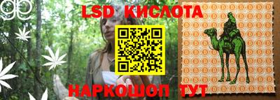 крисы Лесосибирск