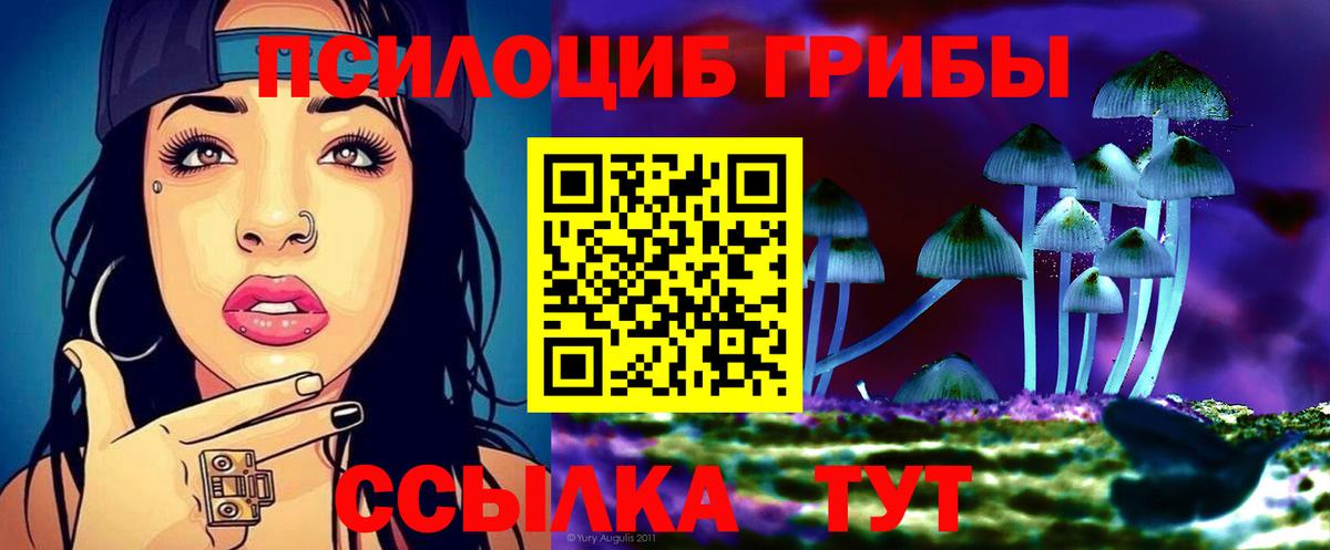 Галлюциногенные грибы Psilocybe  Вход с VPN  Жигулёвск 